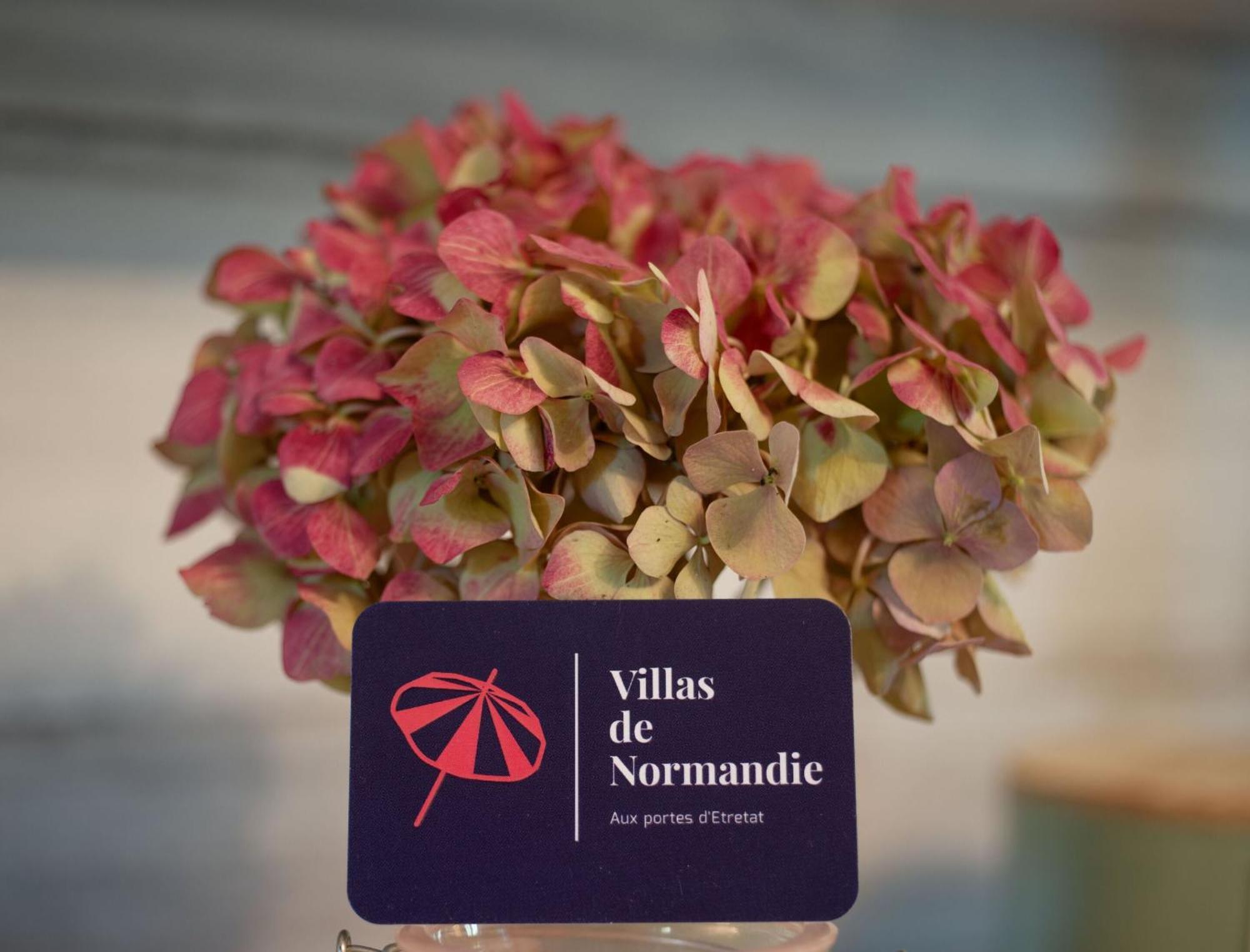 La Fleur De Sel D'Etretat Vila Bordeaux-Saint-Clair Exterior foto